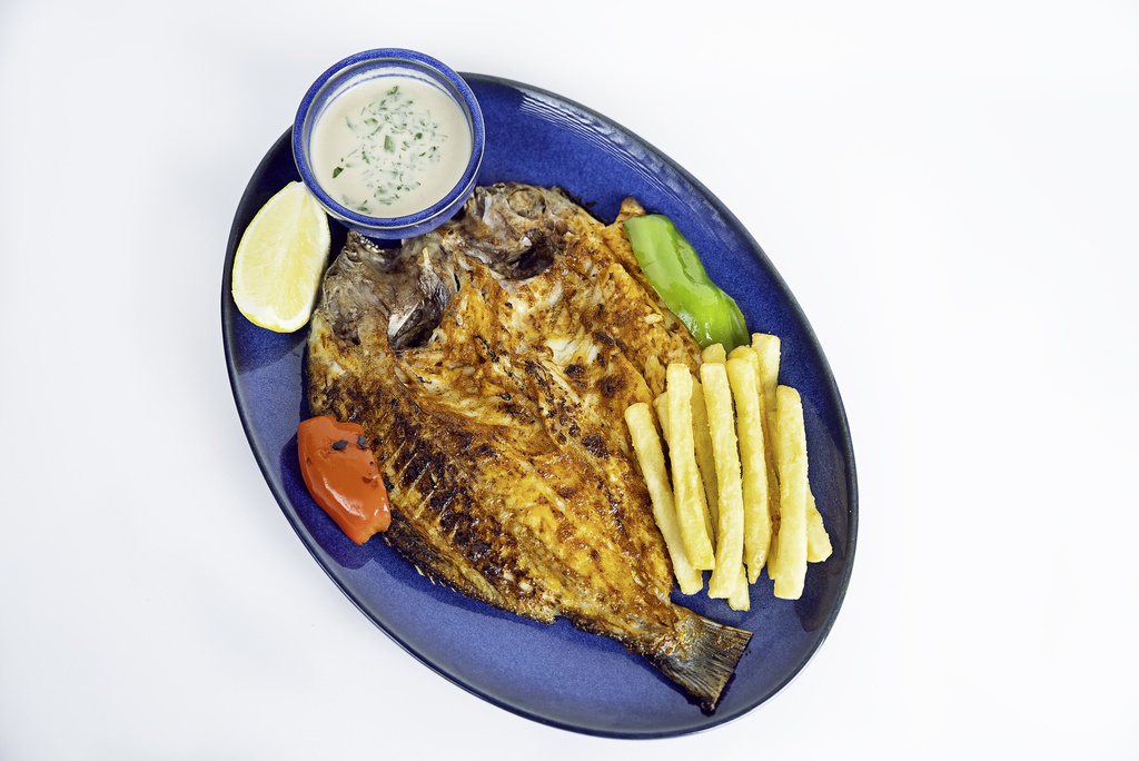 Sea Bream Fish