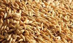 [PR/04059] kilo of wheat