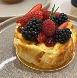 [PR/04776] Sansebastian with berries